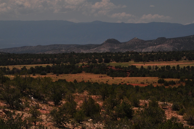 Sand Gulch's The Gallery